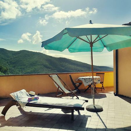 Casale Pundarika Guest House Riparbella Exterior photo