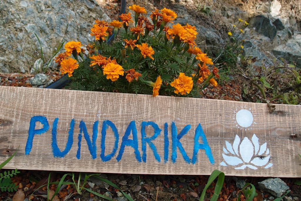 Casale Pundarika Guest House Riparbella Exterior photo